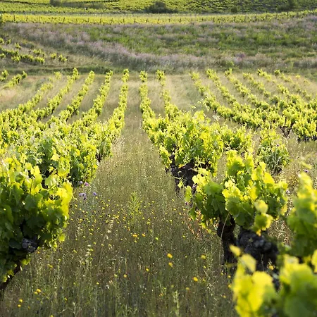 Chateau Panzió Autignac